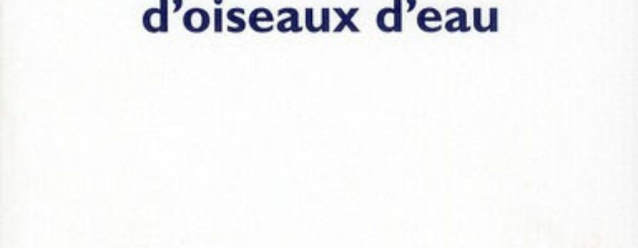 L’Absence d’oiseaux d’eau: rencontre avec Emmanuelle Pagano, le 30 juin 2010 à 18h00, à la Médiathèque d’Arles