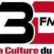 La traduction à l’honneur dans la prochaine émission « Paroles multiples » de Radio 3D FM